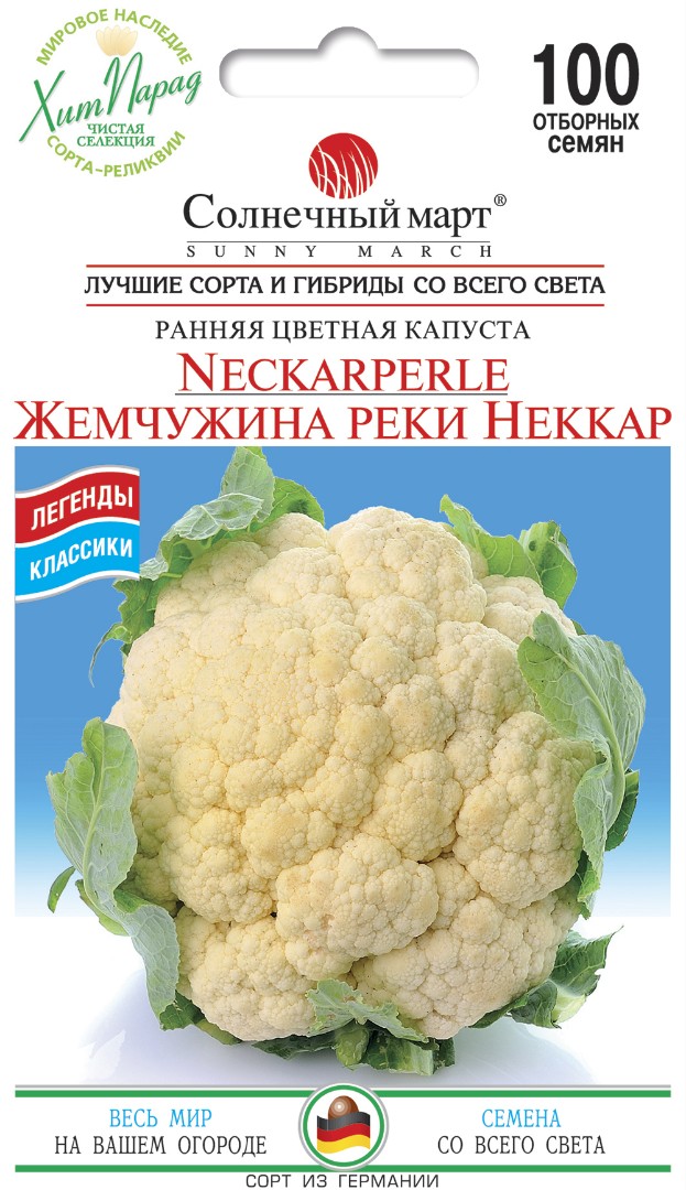 Капуста Жемчужина реки Неккар